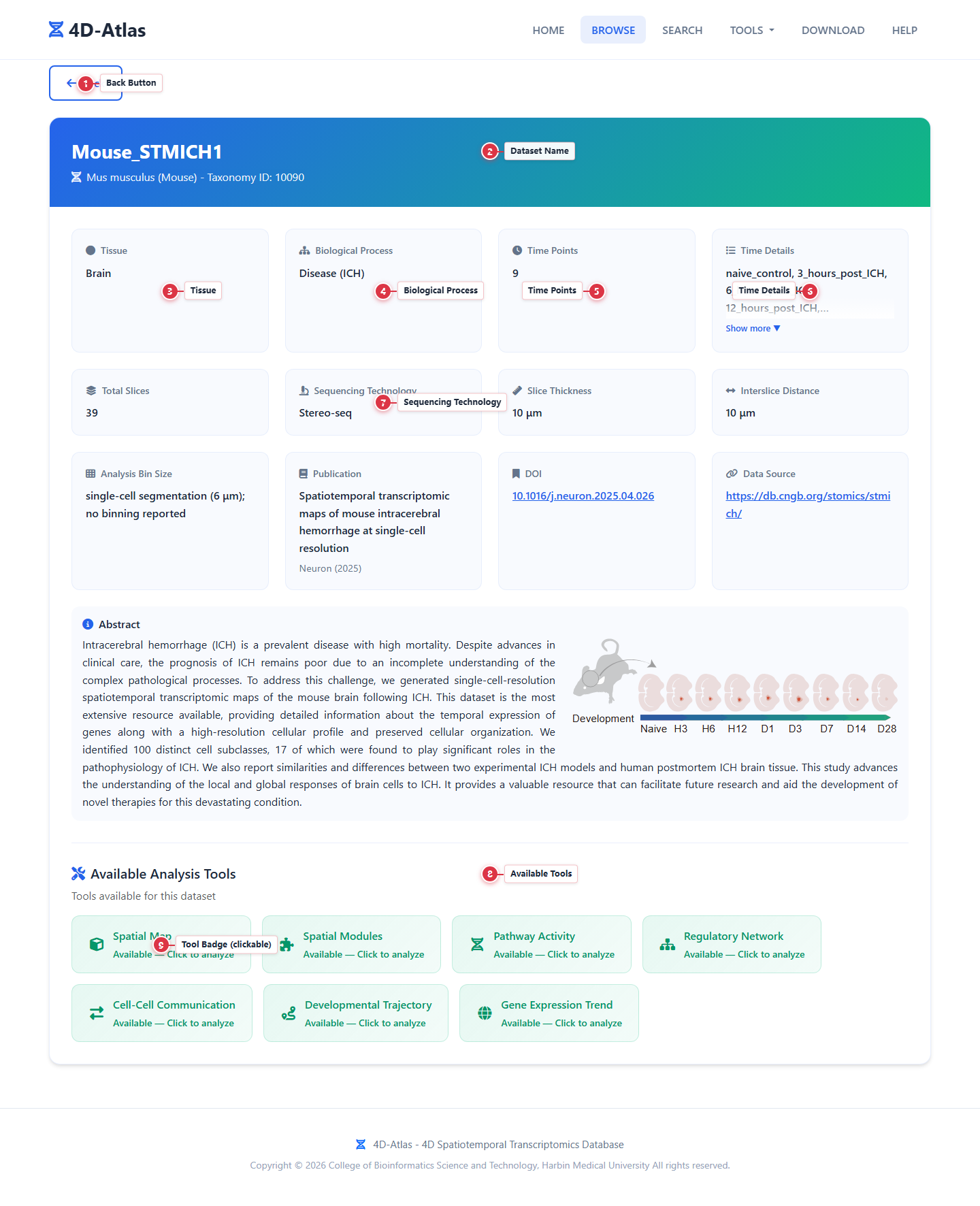 Dataset Detail Guide