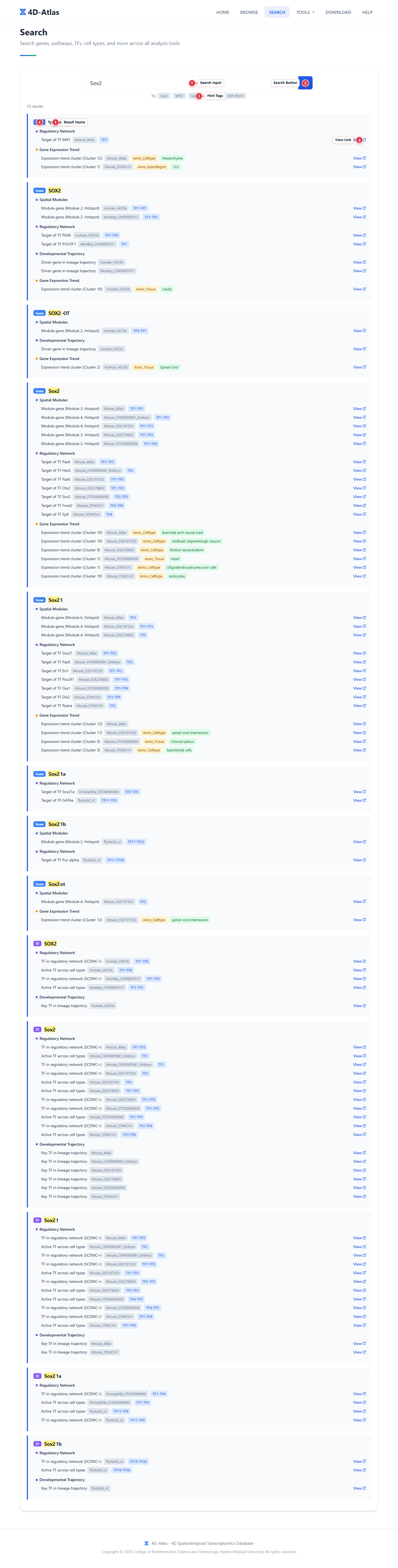 Search Page Guide