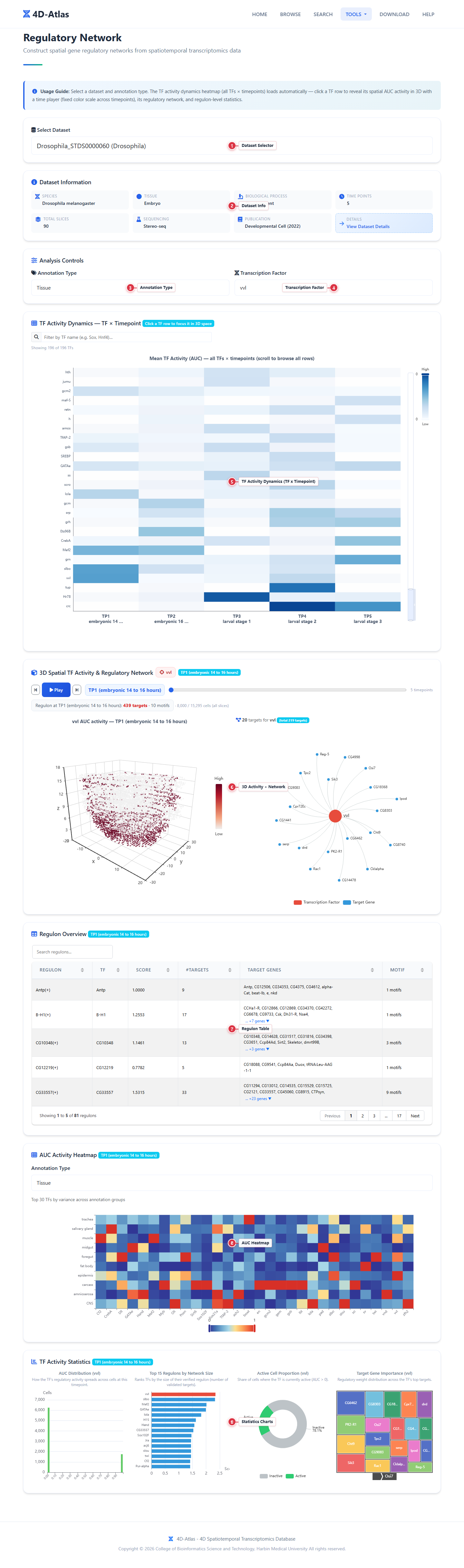 Regulatory Network Guide