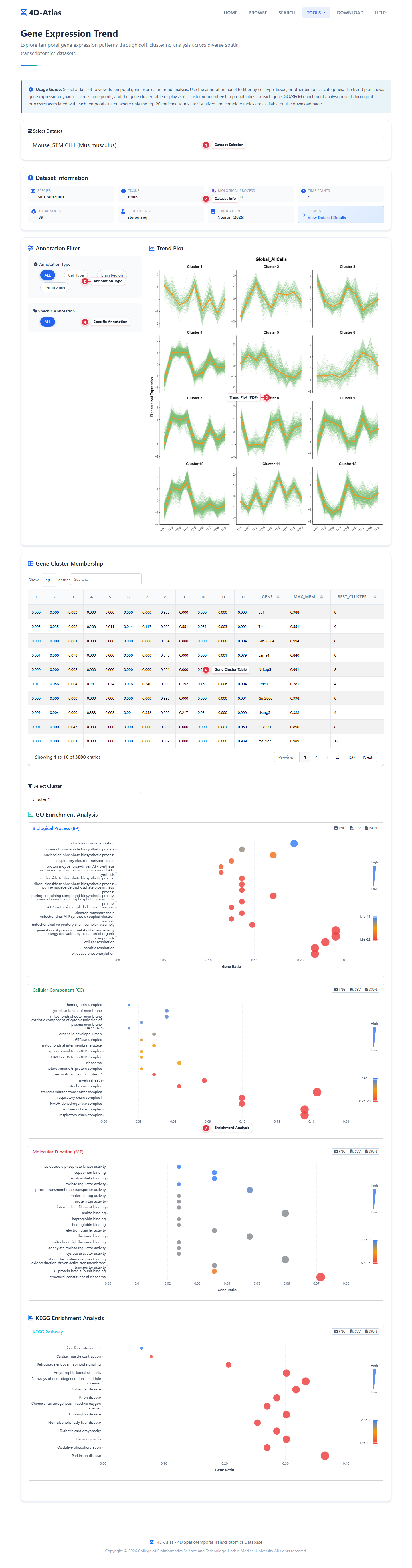 Expression Trend Guide